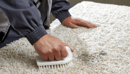 Professional Rug Cleaning Romsey